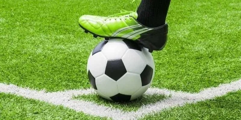 Cẩm nang đặt vào Handicap bất bại Cẩm nang đặt vào Handicap bất bại